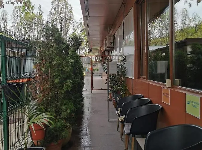 Nevis Fundeni بوخارست