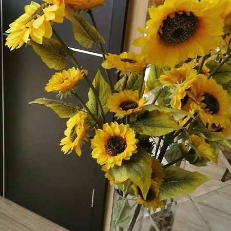 Nevis Fundeni * Bucarest